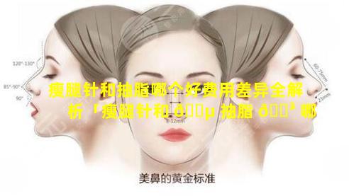 瘦腿针和抽脂哪个好费用差异全解析「瘦腿针和 🐵 抽脂 🐳 哪个花的钱多」